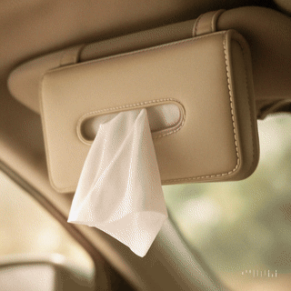 Car Tissue Holder